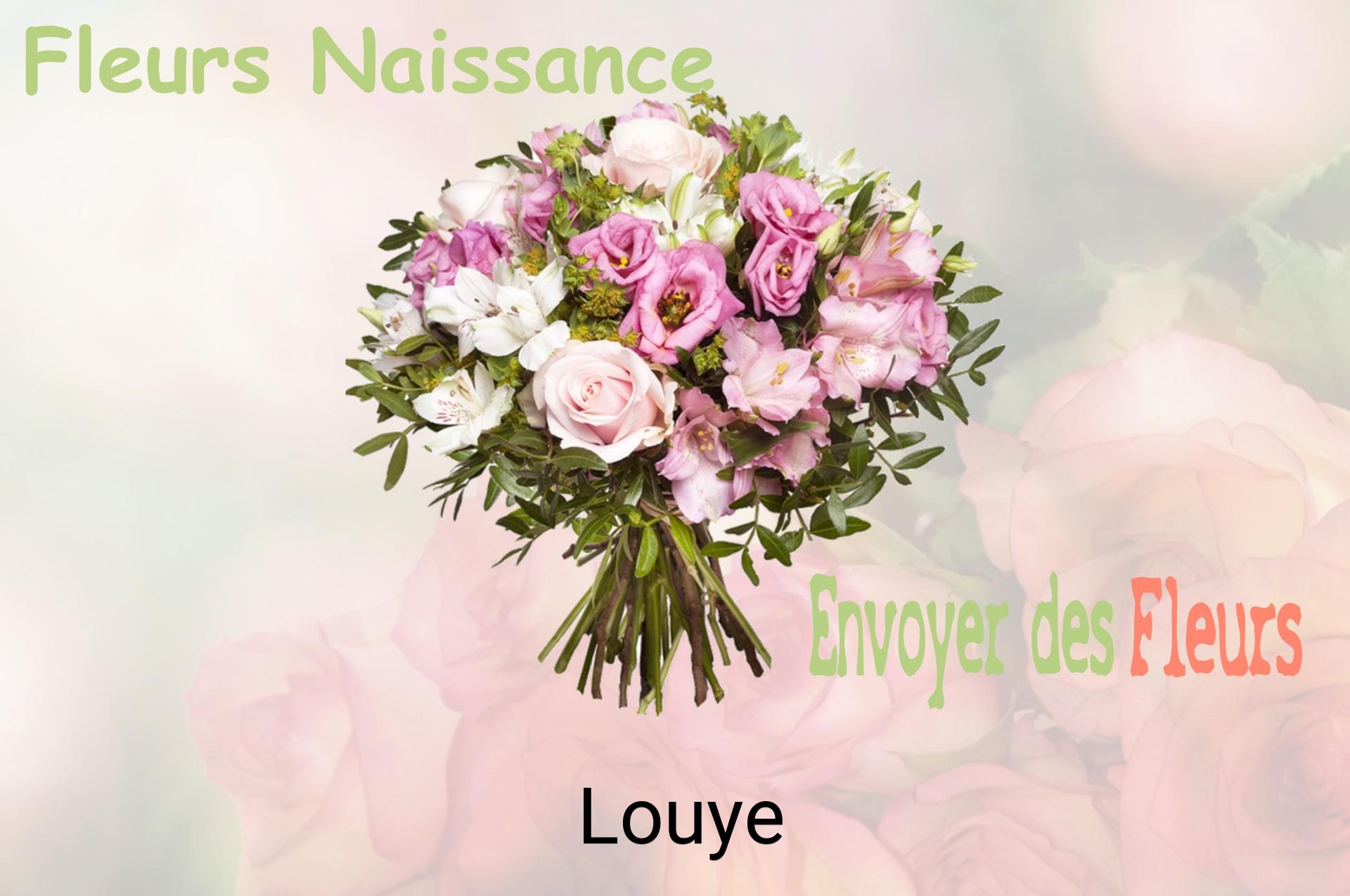 Bouquet de fleurs de naissance livré à Louye
